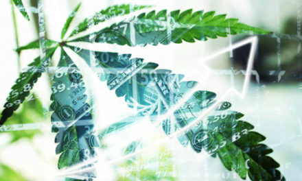 Brodrick: The Second Wave of Cannabis Profits Is Coming