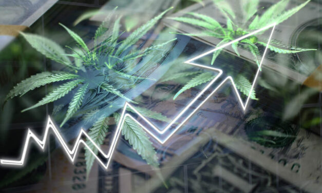 Brodrick: 3 Charts That Form a Treasure Map to Cannabis Profits