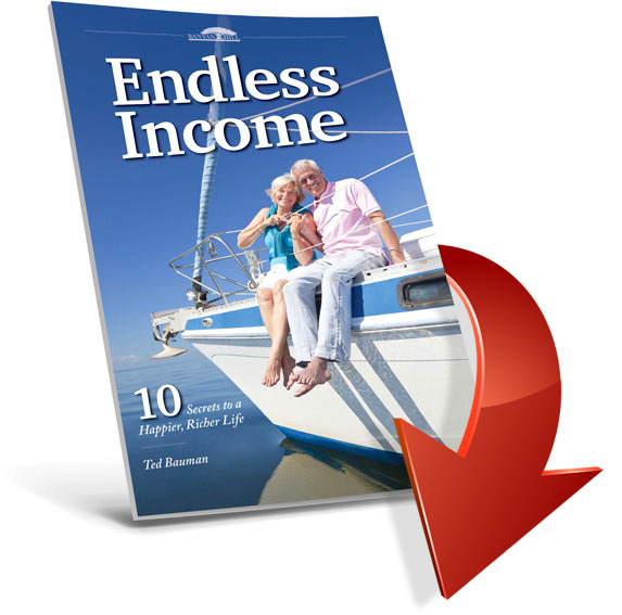 Endless Income Report Cover Image