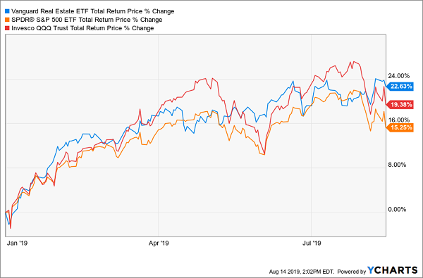 dividend