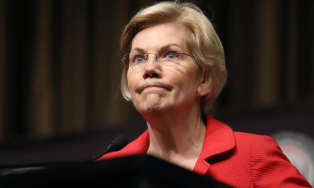 Warren’s Merger Plan Roasted: ‘What Decade Does She Think We’re Living In?’