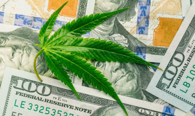 Marijuana Market Update: Canopy Growth Is Catching Fire Again