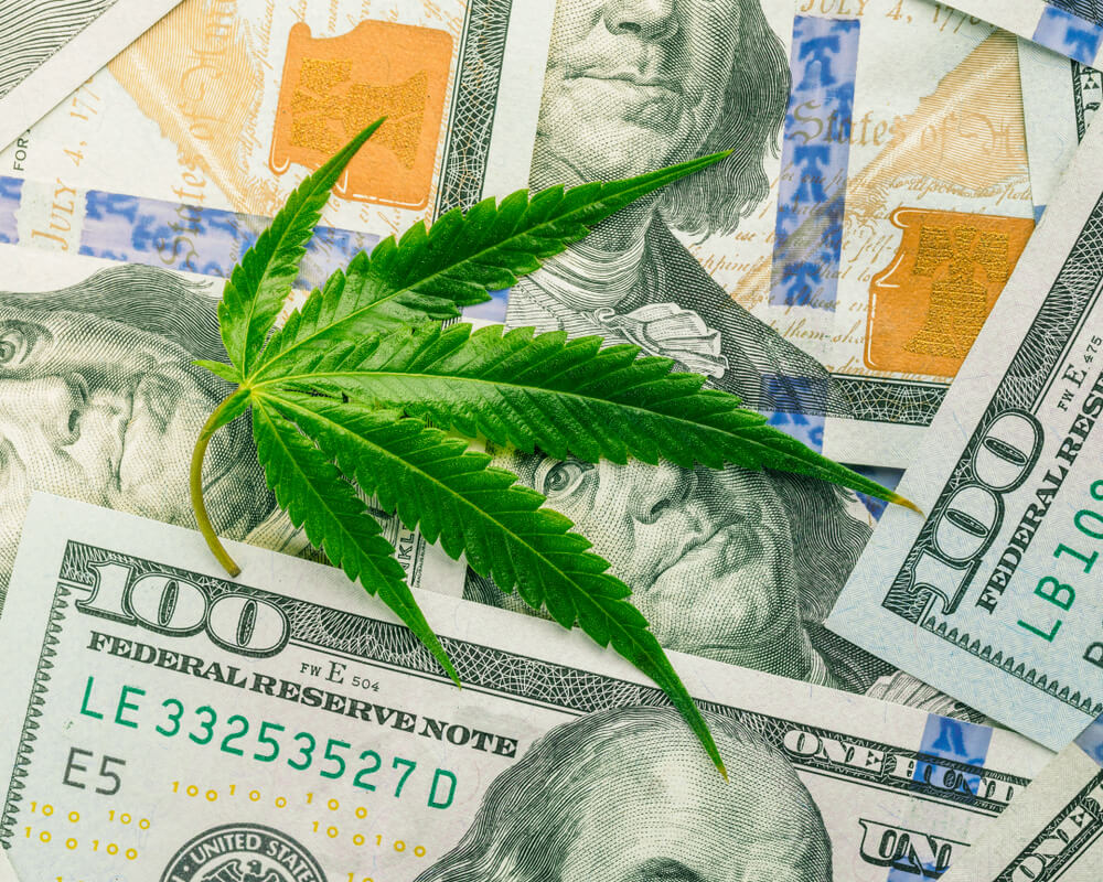 Marijuana Market Update cannabis earnings Avant Brands AVTBF