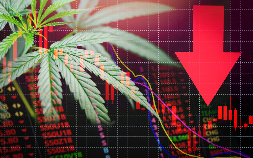 What Latest Market Dip Means for Cannabis Investors