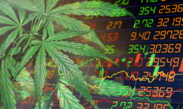 Marijuana Market Update: The Riskiness of Cannabis Stocks