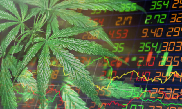 Marijuana Market Update: The Riskiness of Cannabis Stocks