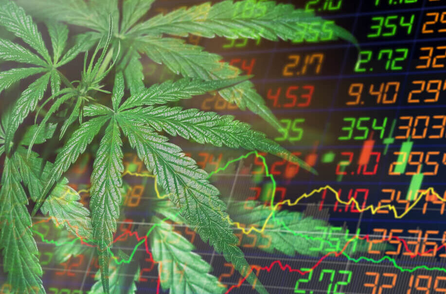 Marijuana Market Update: The Riskiness of Cannabis Stocks