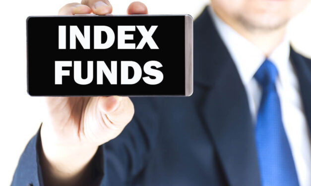 The Index Fund Bubble and Why You Shouldn’t Put All Your Money Into 1