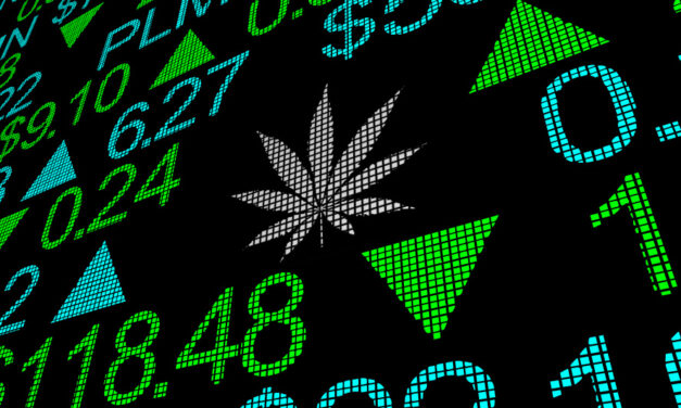 Marijuana Market Update: The Big 6 Pot Stocks