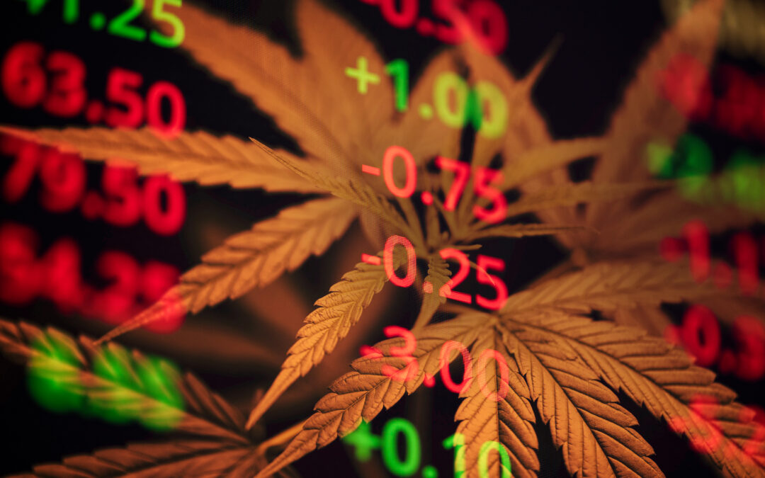 Cresco Labs (CRLBF): How the Chicago Cannabis Stock Ranks