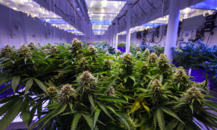 GrowGeneration stock