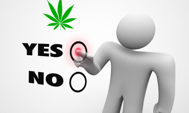 Cannabis Legalization: 2 Key States to Watch on Election Day