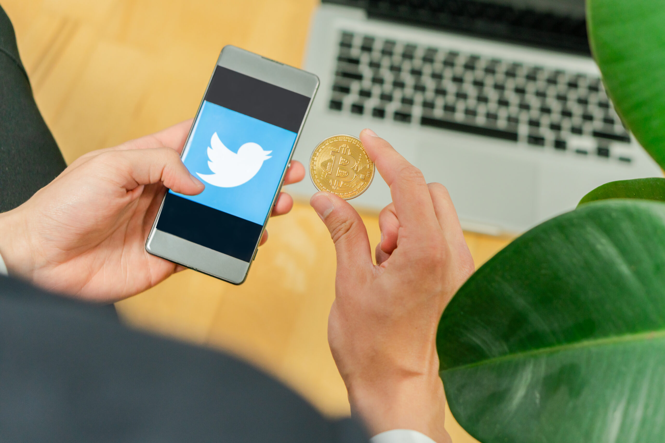 Twitter Stock, Alexion, Aaron's, YOLO — Our Best Stock Tips of 2020