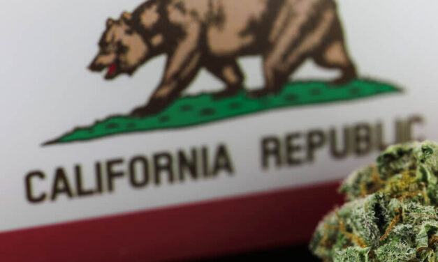 Subversive Capital Acquisition: Largest Cannabis SPAC a Buy?