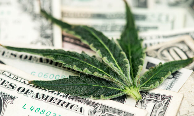 Too Late to Buy Planet 13 for Big Cannabis Gains?