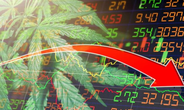 MediPharm’s Bleak Outlook; Cannabis Watchlist Updates