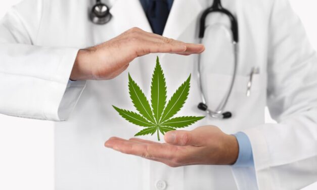 A Global Cannabis Play? PharmaCielo Stock Shows Promise