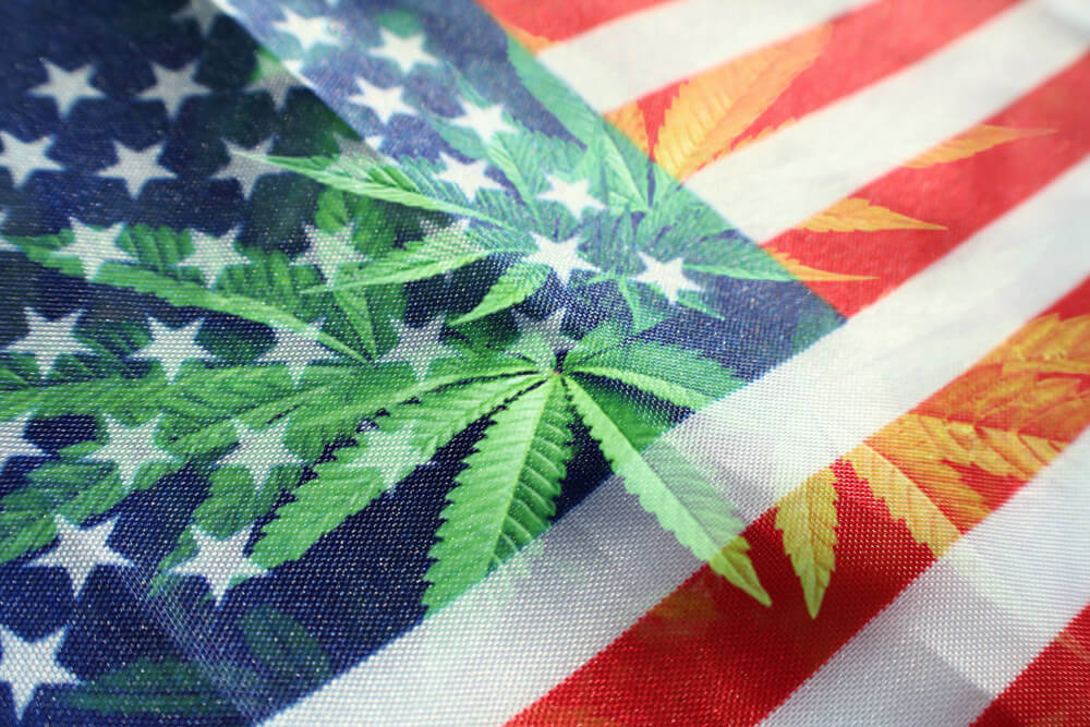 Legal Cannabis Market’s Explosive Growth — Watch These States