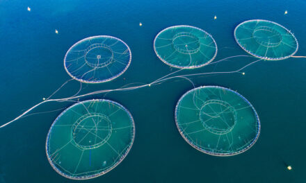 fish farm