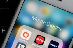 No. 1 Lesson From the Meme Stock Craze