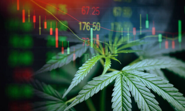 Viewer Q&A: Deep Dive of 6 Cannabis ETFs