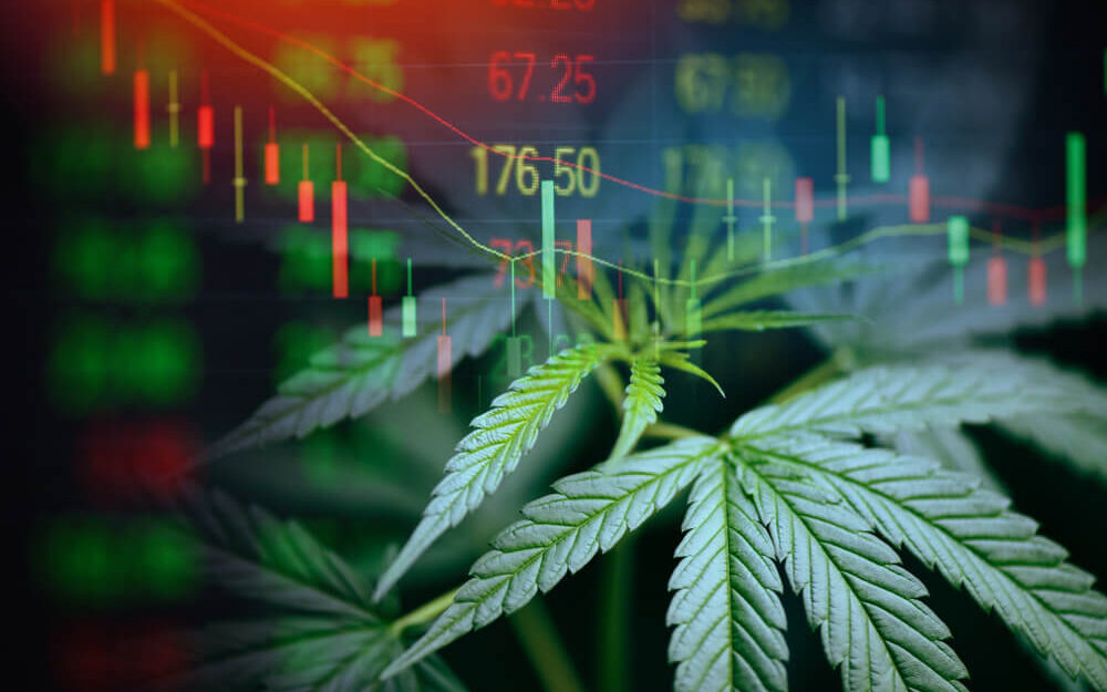 How Cannabis Performed in 2021 + One Stock for 2022 (CCHWF)