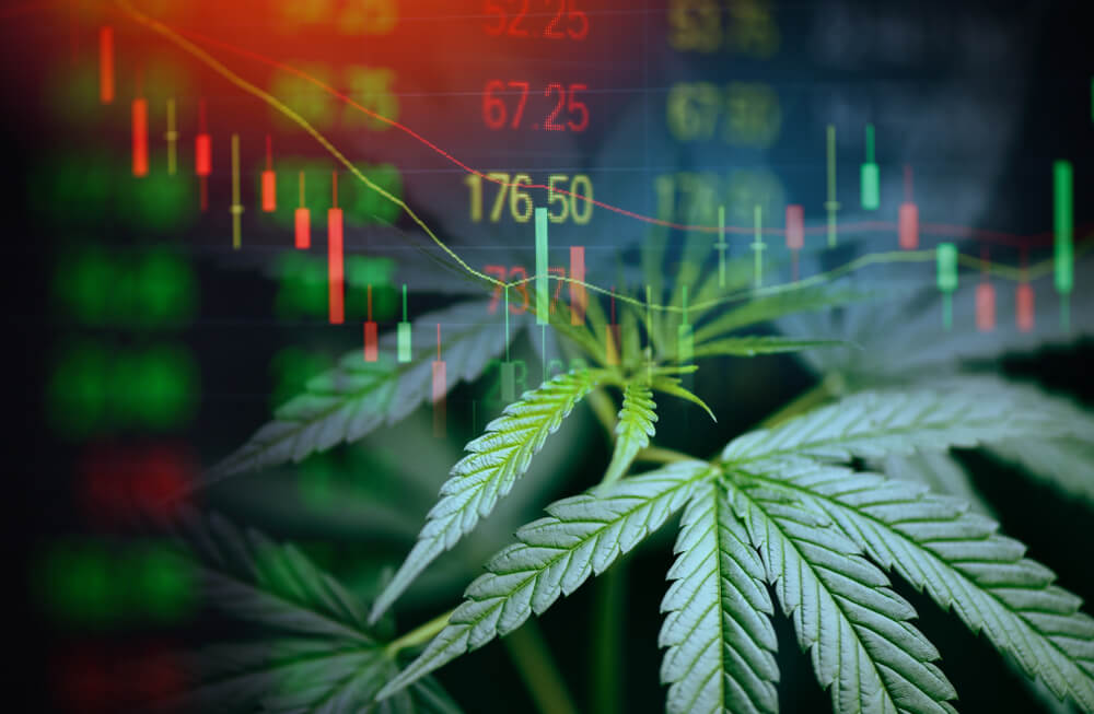 How Cannabis Performed in 2021 + One Stock for 2022 (CCHWF)