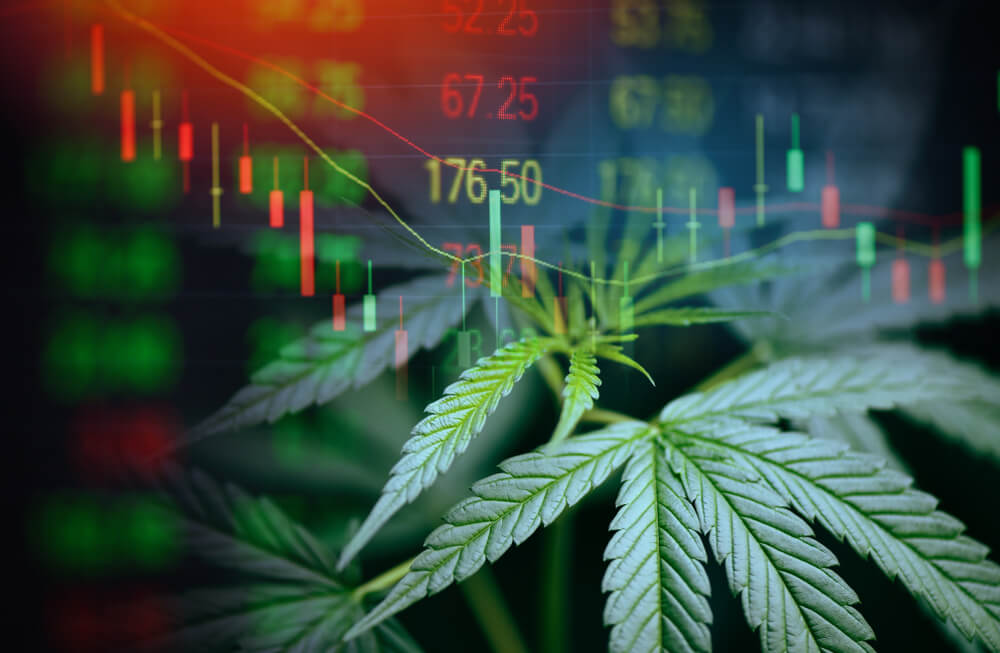 Cannabis Stock News Archives - CNA Finance