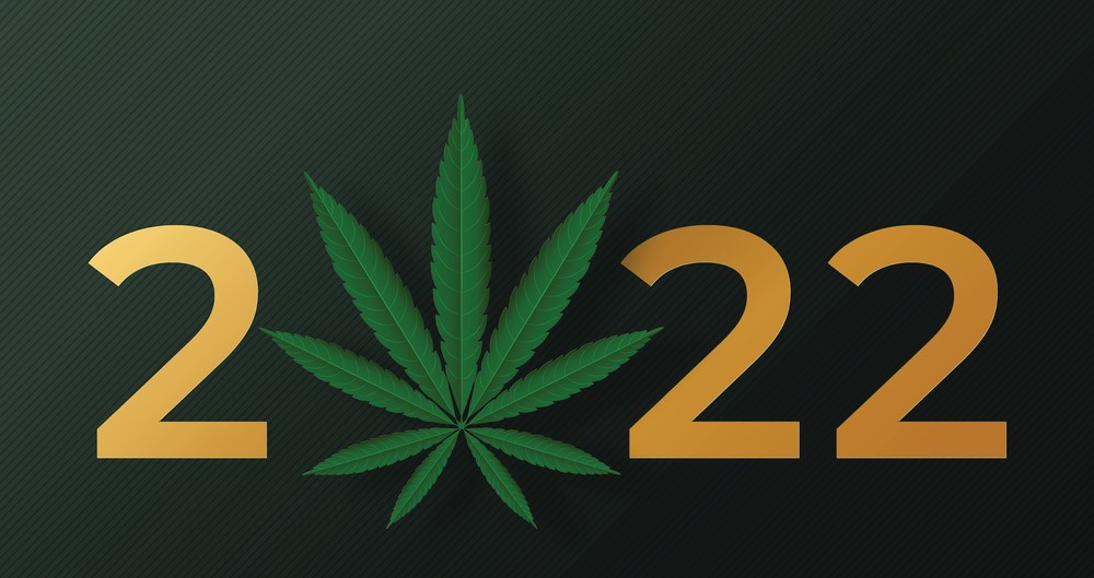 My Bold Cannabis Prediction for 2022 + PLNHF Stock Analysis