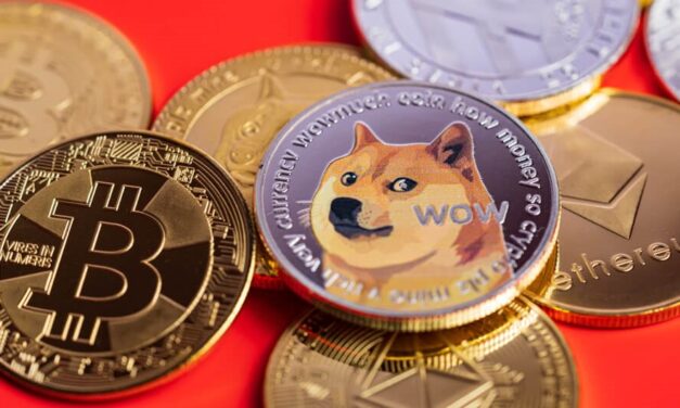 DOGE & SpaceX? Don’t Miss Crypto’s Comeback