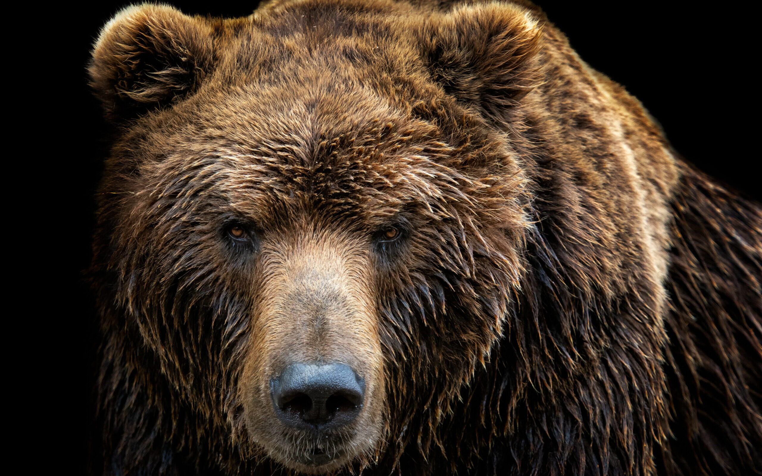 One Indicator You Need For The Bear Market’s End