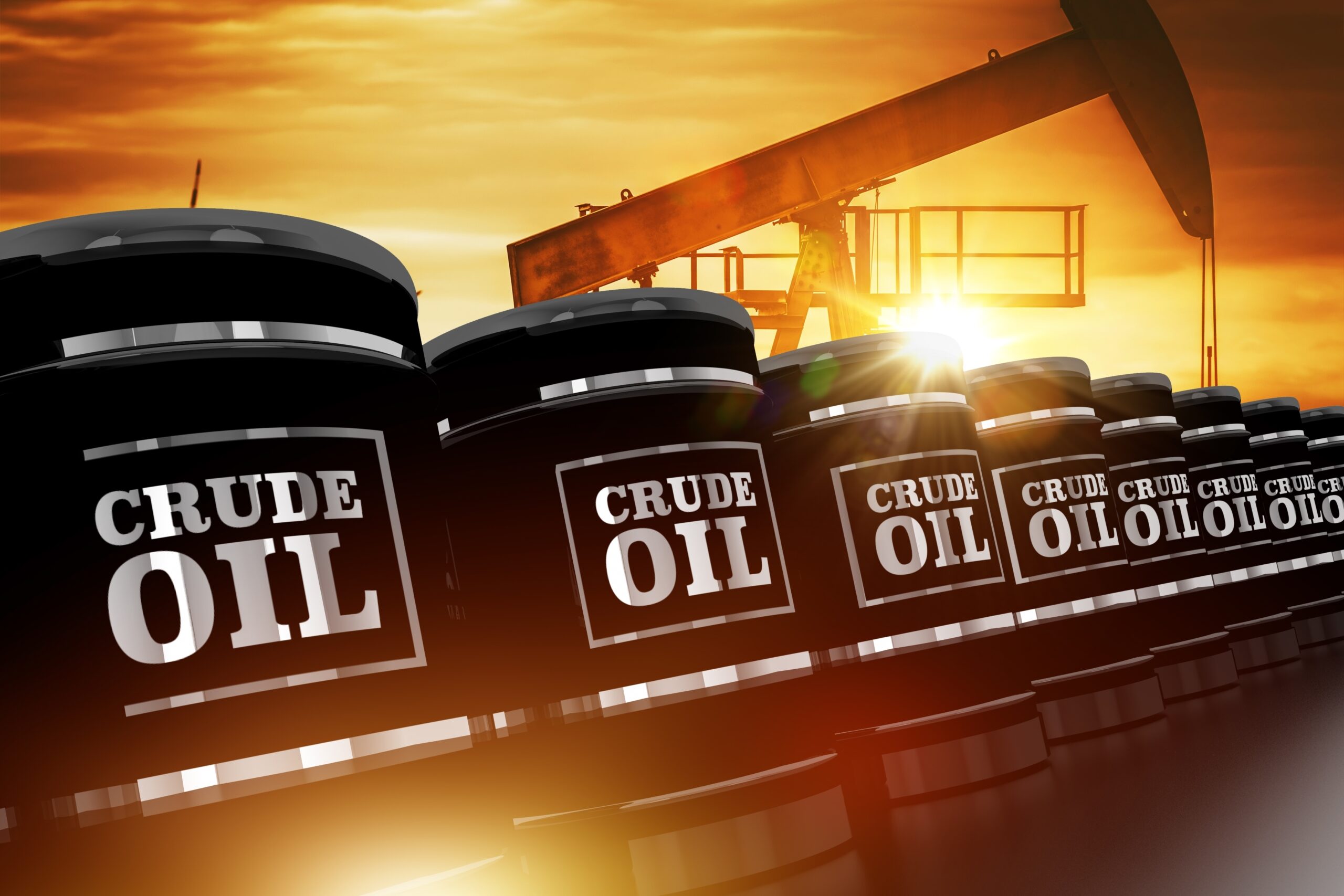 A “Crude” Opportunity During A Global Crisis