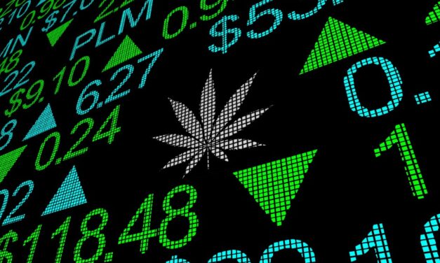 Brand-New WEED ETF Deep Dive