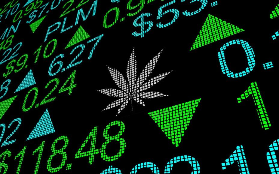 cannabis stocks