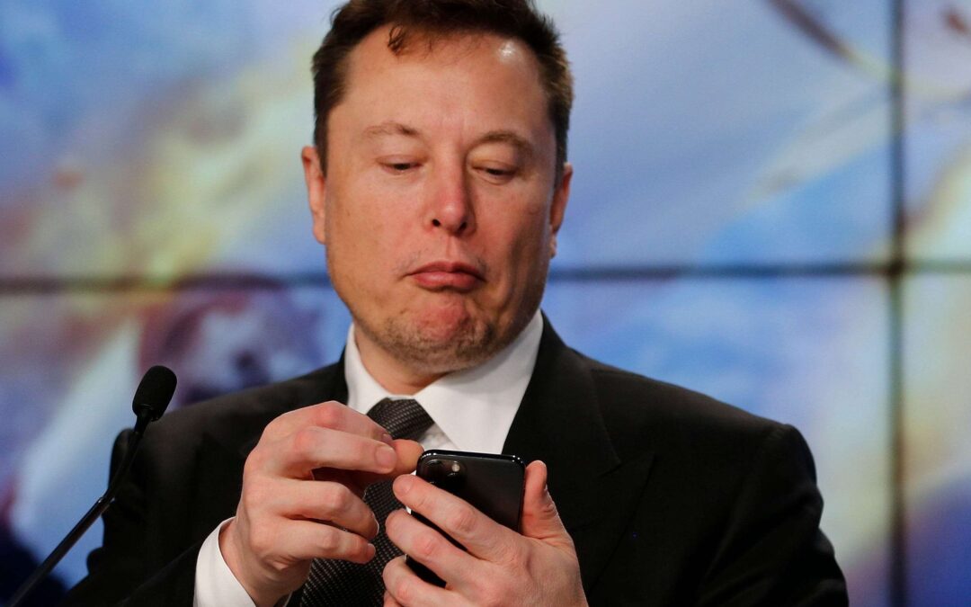 Plot Twist: Elon Musk Becomes Largest Shareholder Of Twitter Overnight!