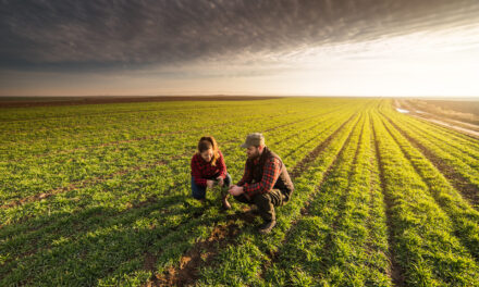 2 farmers