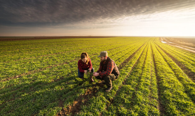 Agriculture Stock Captures Fertilizer Boom