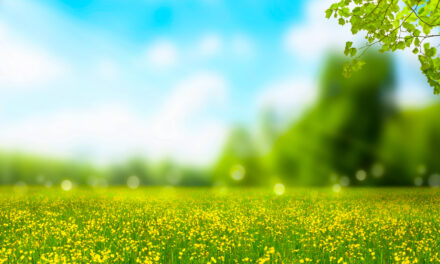 Will April Opportunities Bring May Profits?
