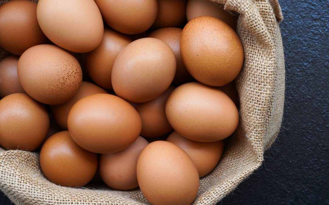 Recession-Proof Play? Top-Rated Egg Stock Climbs Higher as Market Falls