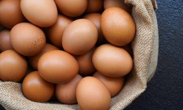 Recession-Proof Play? Top-Rated Egg Stock Climbs Higher as Market Falls