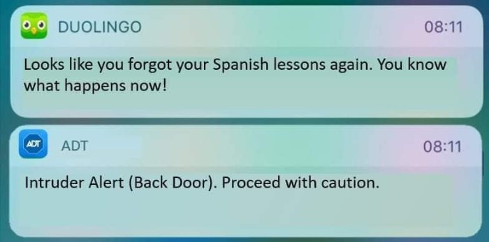 duolingo stock meme