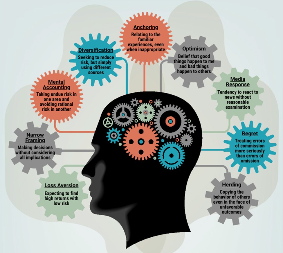 investor behavior infographic