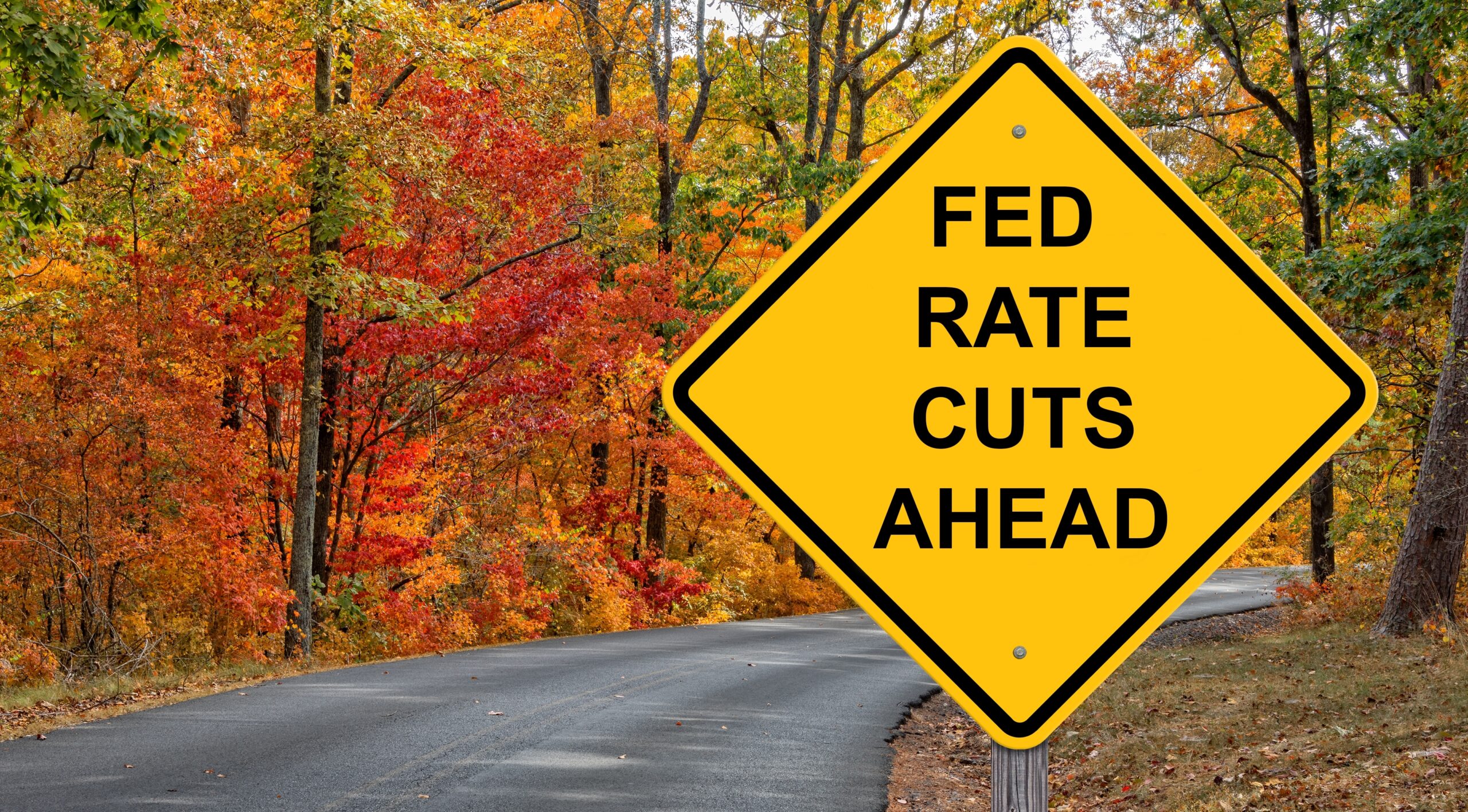 stock market outlook