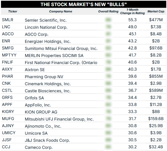 08_07 non_SP500 new bulls blur