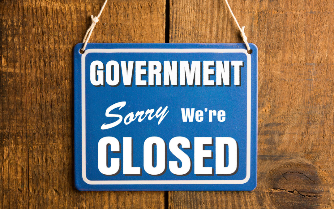 “Flying Blind” without Official Data During Shutdown