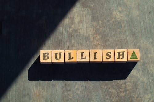 The Most Bullish Sector I’ve Ever Seen