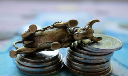 Earnings Report Card: The Bull Case No One Is Talking About